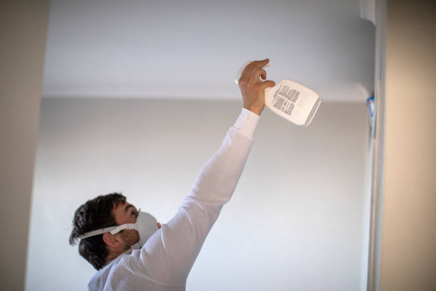Best Same-Day Mold Removal  in Northfield, OH
